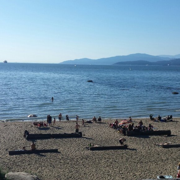 Meet your Posher, Dina - Picture 1 of 1